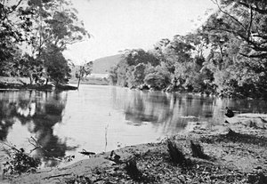 Akşam Gölgeleri, Milli Park, c1900. by Unbekannt