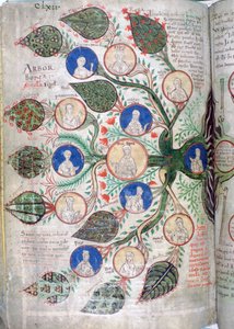 Soy ağacı, Liber Floridus
