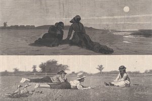 Sea-Shore ve Meadow Harper