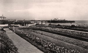 Çiçek bahçeleri ve West Pier, Brighton, Sussex, 1938 by Unbekannt