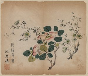 Çiçekli Prunus, 1368-1644.