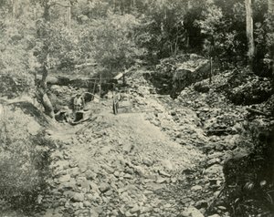 Fossickers İş Başında, 1901. by Unbekannt
