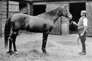 Foxhall, 1880-1904, 1911 by Unbekannt