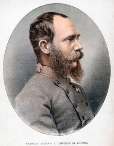 Francis Joseph I, Avusturya İmparatoru by Unbekannt