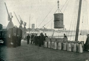Fransız Sütünün Southampton