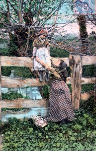 Fransız Kartpostalı, c1900 by Unbekannt