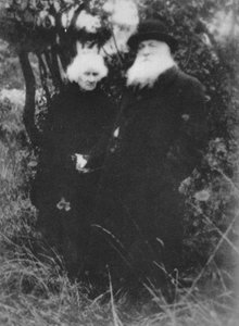Fransız heykeltıraş Auguste Rodin, Meudon