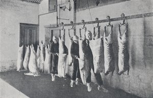 Dondurulmuş Et, 1923. by Unbekannt