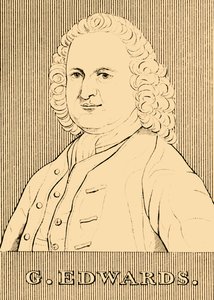 G. Edwards, 1694-1773, 1830. by Unbekannt