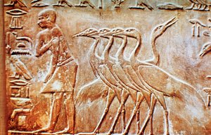 Kazlar, Ptahhotep Mezarı