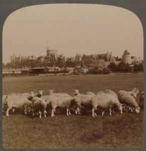 Genel Görünüm Windsor Kalesi, İngiltere, 1896. by Unbekannt