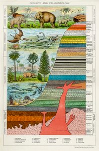 Jeoloji ve Paleontoloji, c1880 by Unbekannt