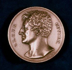 Georges Leopold Chretien Frederic Dagobert, Baron Cuvier, Fransız anatomist, 19. yüzyıl by Unbekannt
