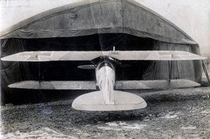Alman Albatros DV, Souilly, Fransa, 2 Ocak 1918 by Unbekannt