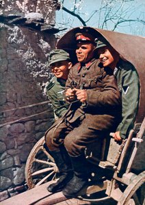 Bir Bulgar askeriyle bir arabada Alman alp birlikleri, Struma Vadisi, Bulgaristan, 1941 by Unbekannt