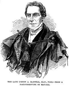 Gideon Algernon Mantell, İngiliz jeolog, 1852 by Unbekannt