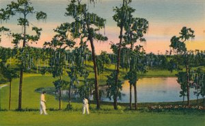 Golf, Florida