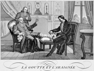 Gut ve Örümcek, c1835 by Unbekannt