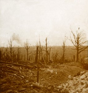 Mezarlar ve bombardıman, Fleury, Fransa, c1914-c1918 by Unbekannt