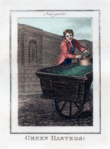 Green Hasteds, Newgate, Londra, 1805 by Unbekannt