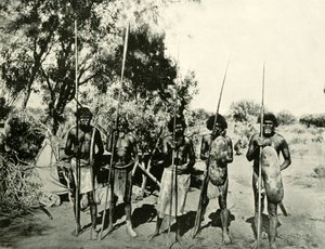 Aborijin Erkekler Grubu, Queensland, Avustralya, 1901. by Unbekannt