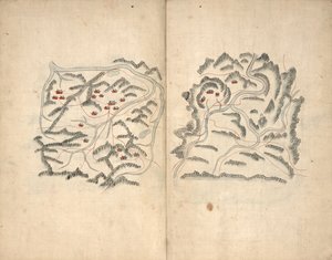 Haedong arzusu. Hoş chŏndo. by Unbekannt