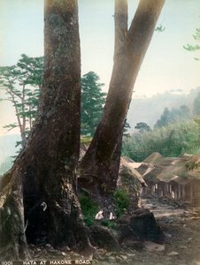 Hata, Hakone Yolu