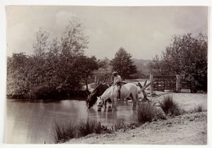 Gölde su içen atlar, 1890