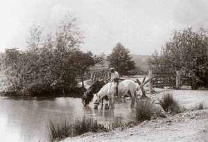 1890