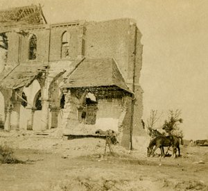 Harap kilisenin yakınında otlayan atlar, Frise, kuzey Fransa, c1914-c1918 by Unbekannt