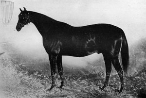 Misafirperverlik, 19. yüzyıl, 1911 by Unbekannt