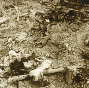 İnsan kalıntıları, Verdun, kuzey Fransa, c1914-c1918 by Unbekannt
