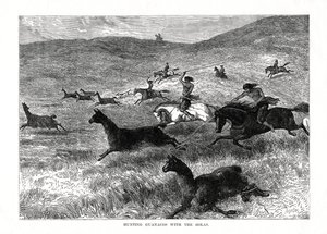 Bolas ile Guanacos Avı, Güney Amerika, 1877 by Unbekannt