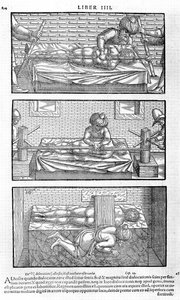 Avicenna