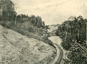 Blackall Sıradağlarında, 1901. by Unbekannt