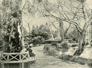 Botanik Bahçelerinde, Adelaide, 1901. by Unbekannt