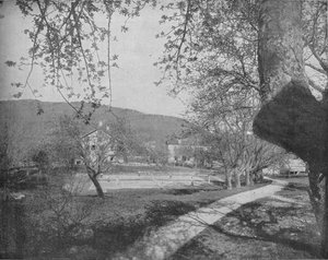Catskill Dağları