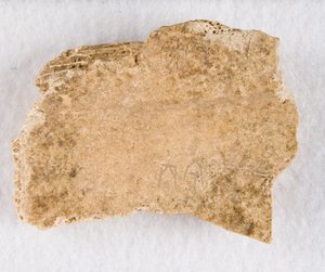 Yazılı kemik parçası kehanet kemiği, Geç Shang hanedanı, ca. 1300-1050 M.Ö. by Unbekannt