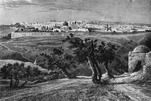 Zeytin Dağı