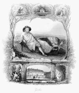 Johann Wolfgang von Goethe, Alman şair, oyun yazarı ve bilim adamı, c1860 by Unbekannt