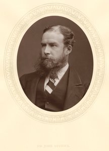 John Lubbock, ilk Baron Avebury, İngiliz bankacı, arkeolog, doğa bilimci ve politikacı, c1880 by Unbekannt