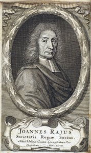 John Ray (Wray), İngiliz doğa bilimci, c 1700 by Unbekannt