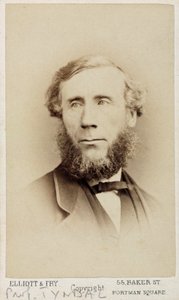 John Tyndall, İrlandalı fizikçi, 1875 dolayları by Unbekannt