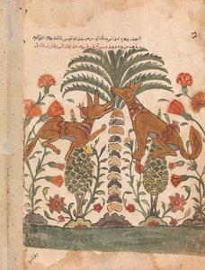 Kalila Upbraiding Dimna, Bir Kalila ve Dimna
