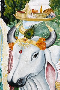 Kamdhenu kutsal inek, Katmandu, Nepal by Unbekannt