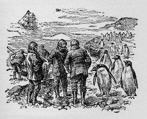 Binlerce penguenin yaşadığı küçük bir adaya indi, c1918 by Unbekannt