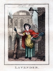 Lavanta, Temple Bar, Londra, 1805 by Unbekannt