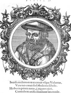 Leonhard Fuchs, Alman botanikçi ve doktor by Unbekannt