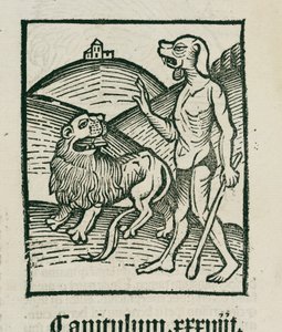 Aslan ve efsanevi 'cephos' by Unbekannt