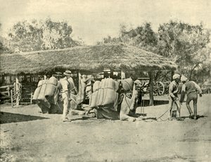 Bir Avustralya İstasyonunda Develer Yükleniyor, 1901. by Unbekannt